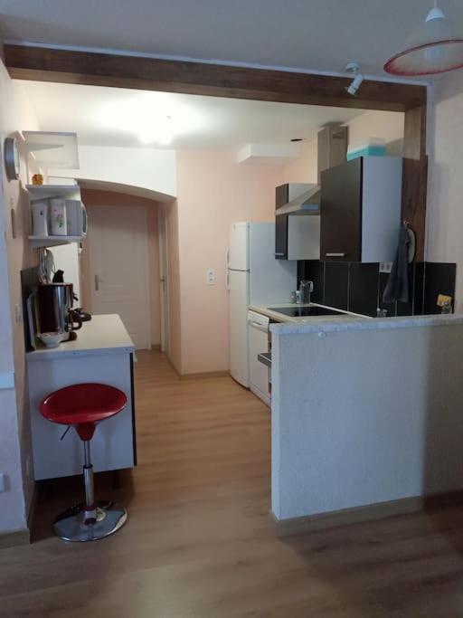Residence Gascogne, Appartement Rose Boreal Eaux-Bonnes Εξωτερικό φωτογραφία