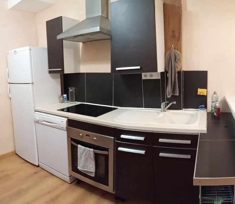 Residence Gascogne, Appartement Rose Boreal Eaux-Bonnes Εξωτερικό φωτογραφία
